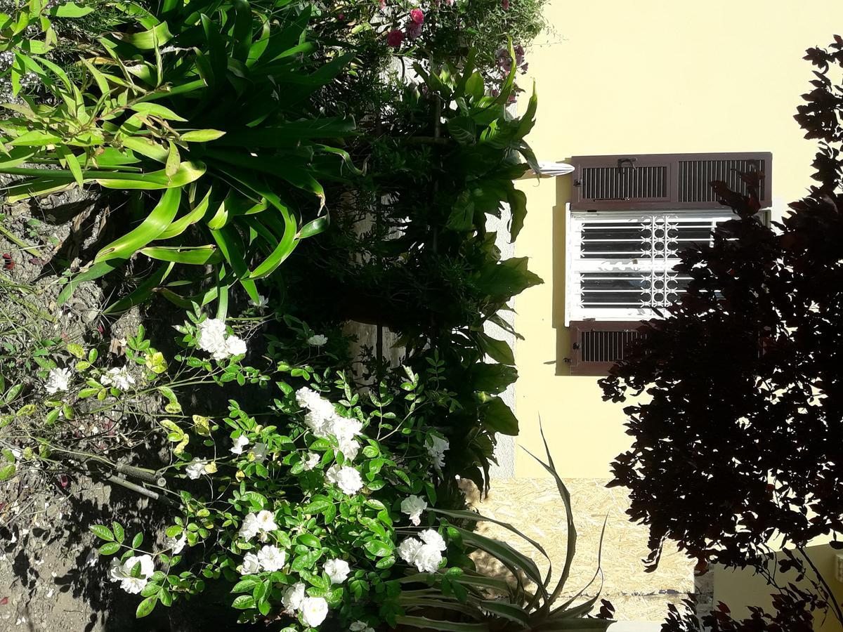 Aliso' Apartman Sarzana Kültér fotó